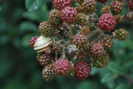 Why settle for anything less than beauty? Image